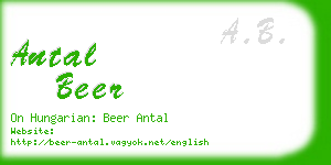 antal beer business card